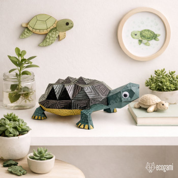 Turtle Turtle